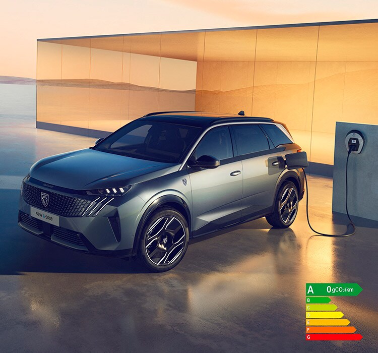 【オープニングセール】 Wyższej | E-5008 PEUGEOT Nowy klasy generacji nowej SUV duży 野菜