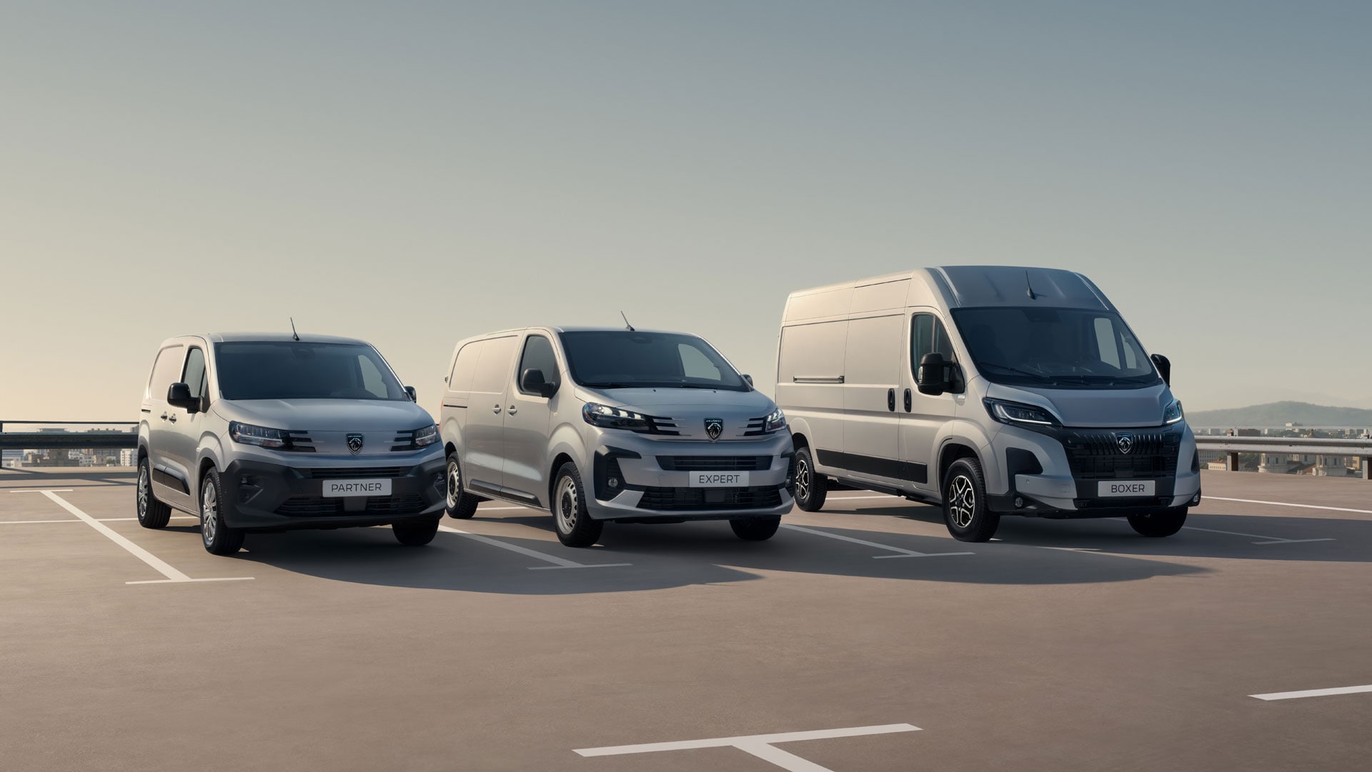Gama Peugeot Professional