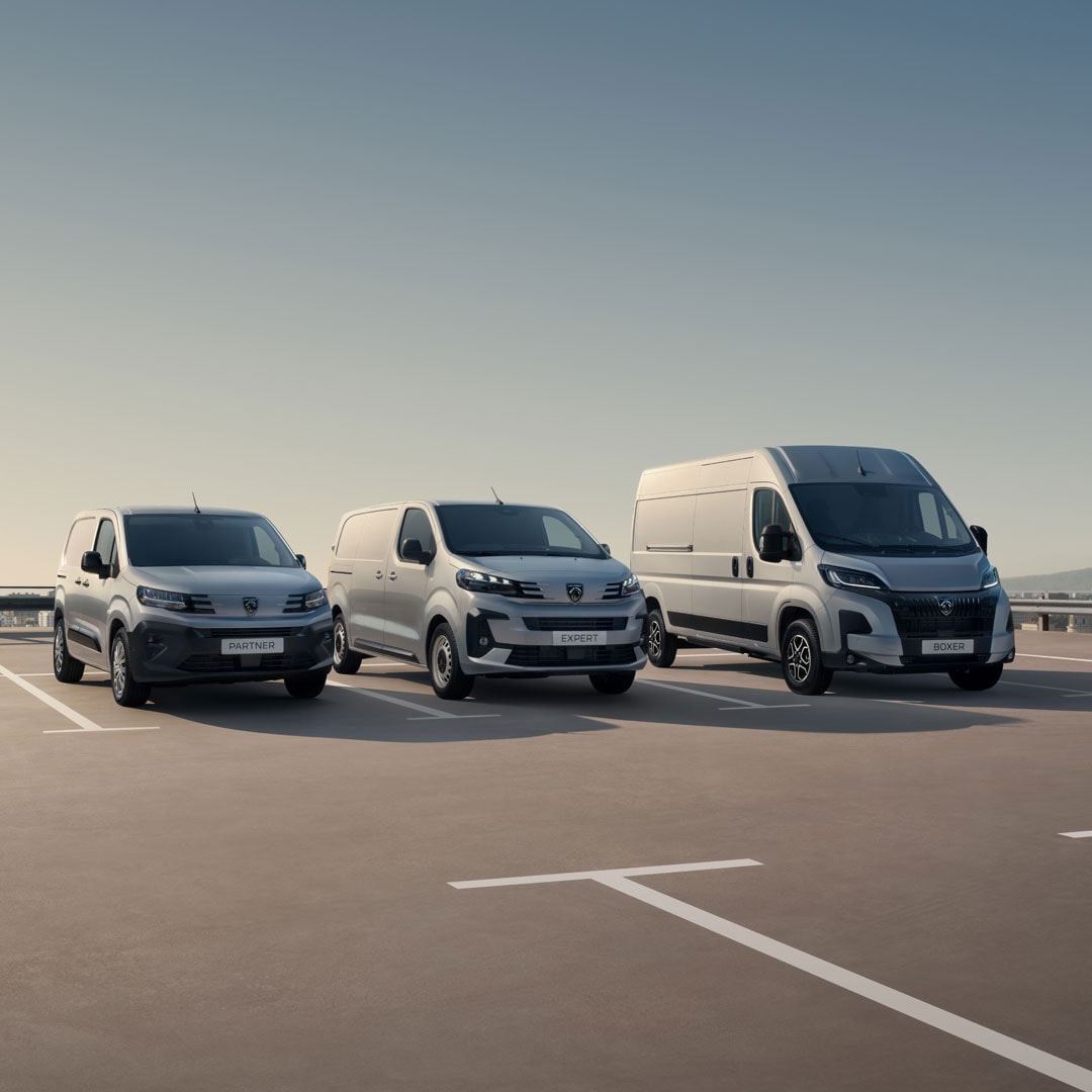 Gama Peugeot Professional
